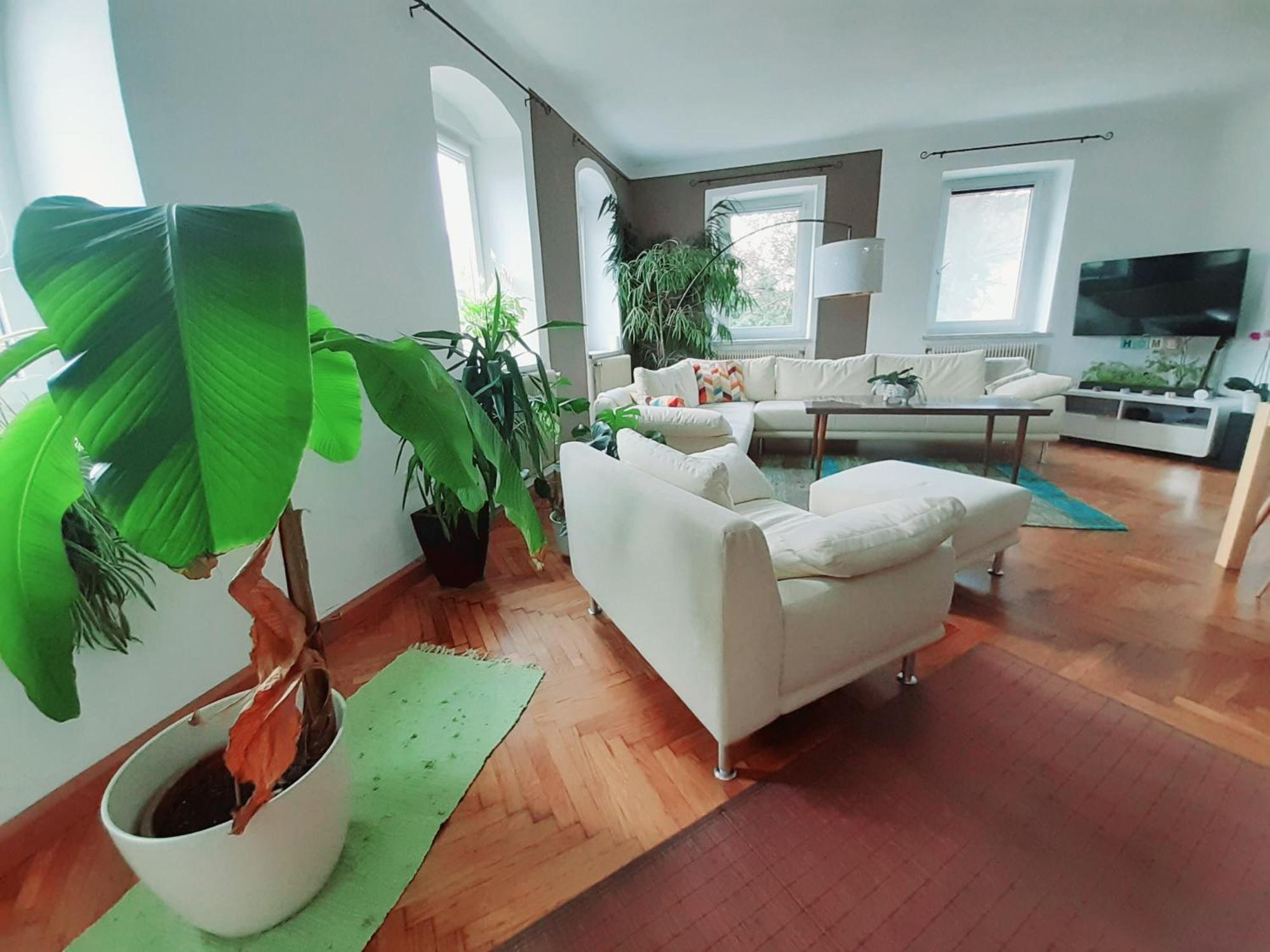Schoene Altbauwohnung Auf Dem Land Kallham 외부 사진